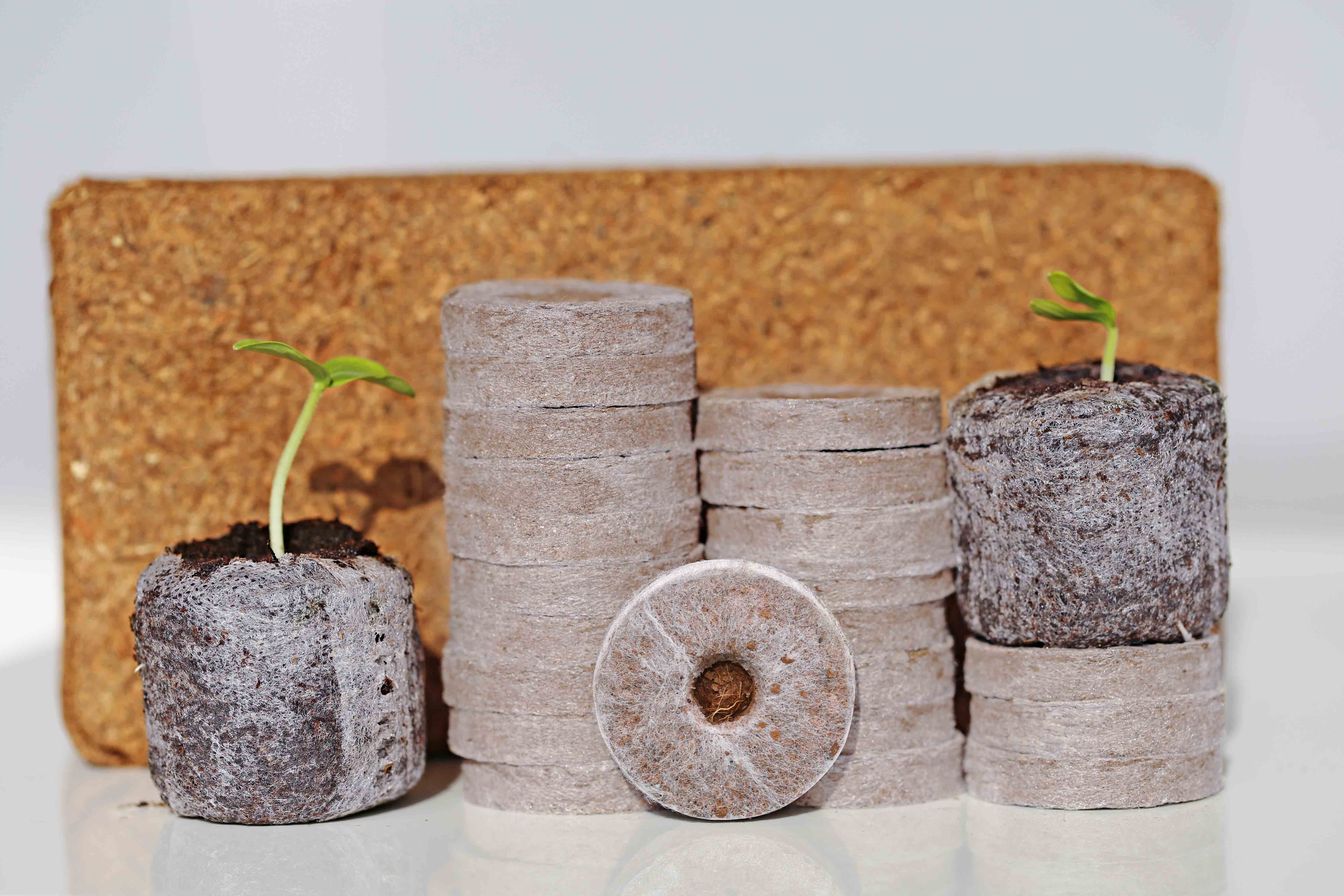 Viên Nén ươm hạt