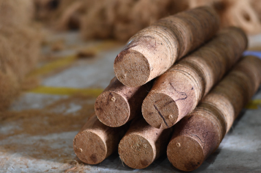 Bình quân mỗi ngày Thế Giới Di Động lãi hơn 6 tỷ đồng